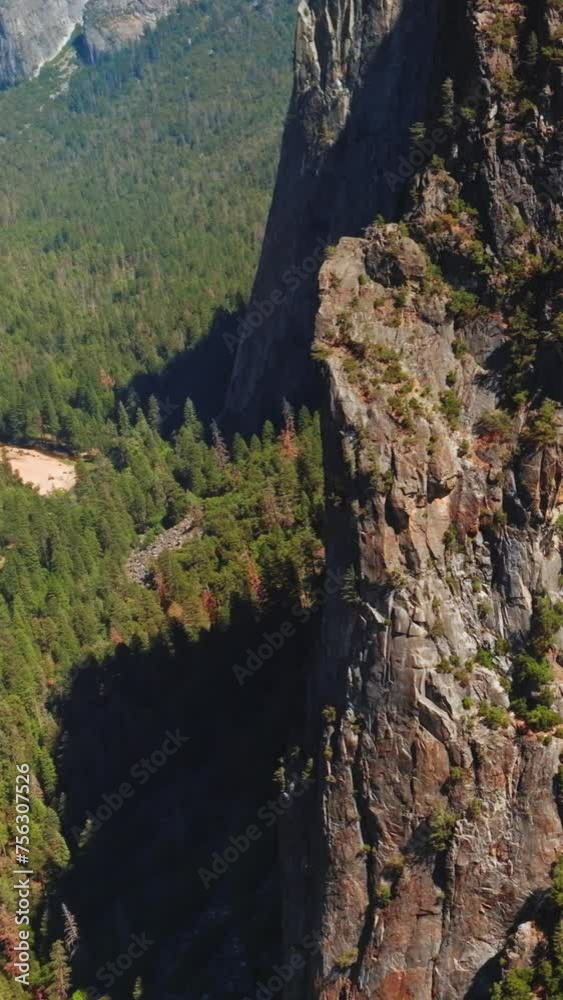 Stunning view of cliff rock at sunny daytime. Little stream flowing from the mountain beside. Lots of pine trees growing at the foot of mountains. Aerial view. Vertical video.