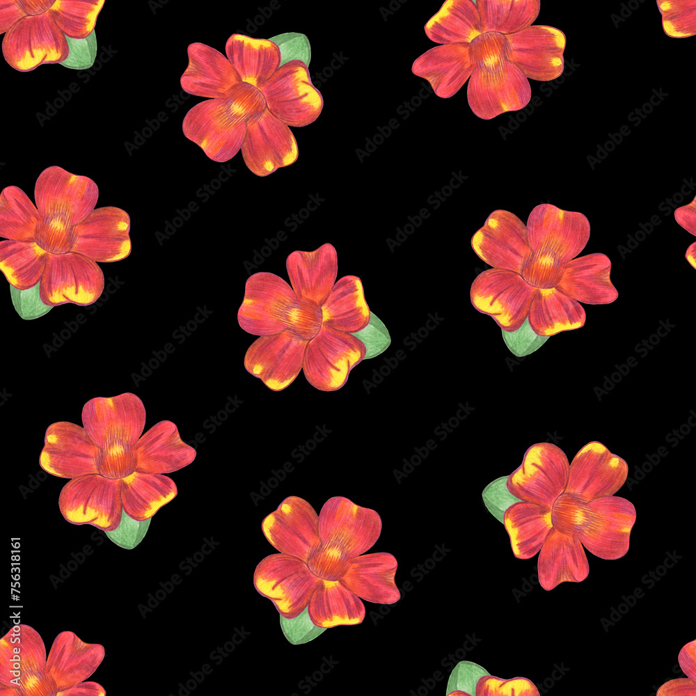 Marigold Flower Seamless Pattern. Hand Drawn Floral Digital Paper on Black Background.