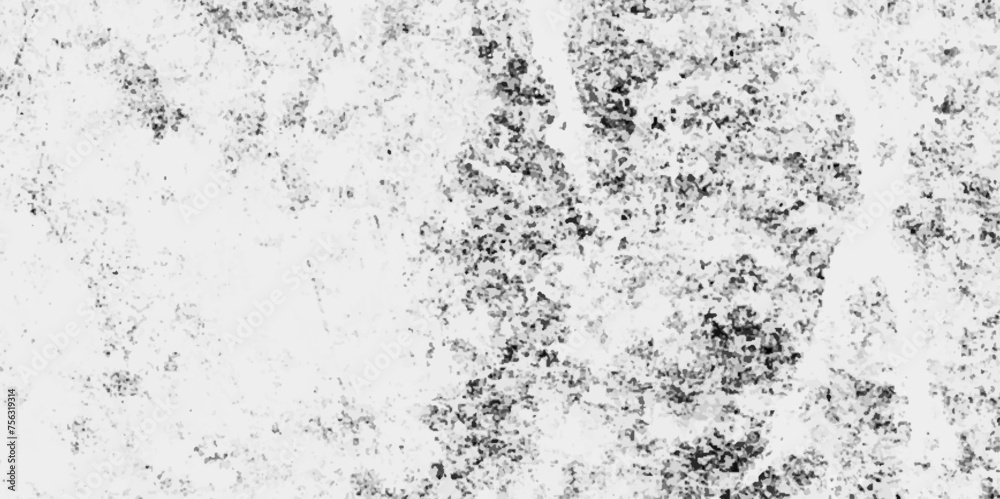 abstract White background with grunge texture,Abstract black and white gritty grunge background,dirt overlay or screen effect use for grunge,elegant monochrome background,