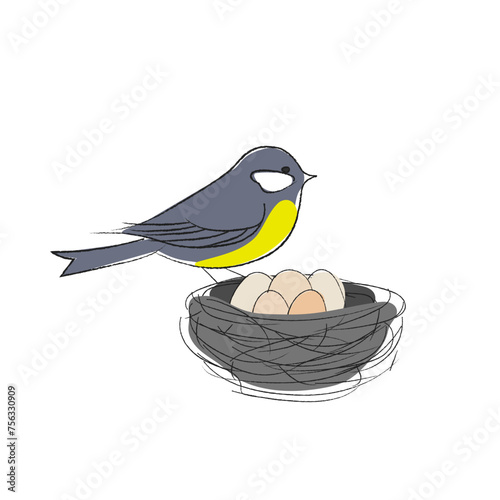 Simple hand drawn titmouse bird with a nest full of eggs springtime, vector illustration