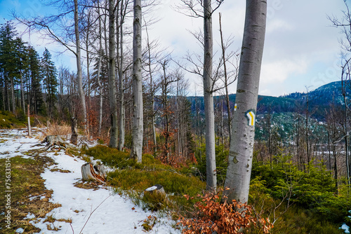Fototapeta Naklejka Na Ścianę i Meble -  Góry, Beskid Śląski widok na Baranią Górę zimą
