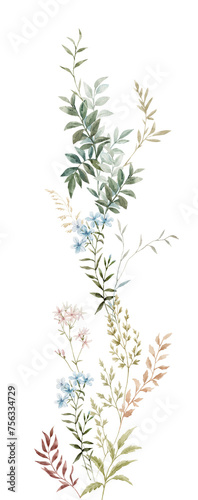 Design watercolor leaves and flowers. Mural. A delicate vertical wreath plants flowers. Botanical modern illustration © zenina