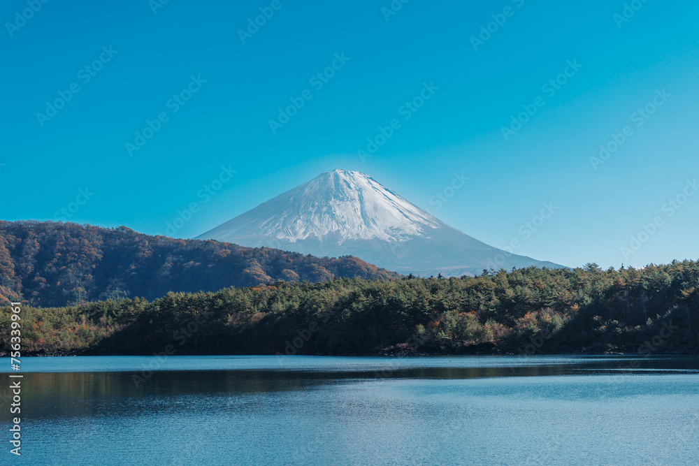 Mount Fuji at lake Saiko near Kawaguchiko, one of the Fuji Five Lakes located in Yamanashi, Japan. Landmark for tourists attraction. Japan Travel, Destination, Vacation and Mount Fuji Day concept