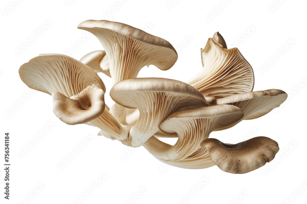 mushroom slices hovering in the air, emphasizing the earthy tones and unique shapes.