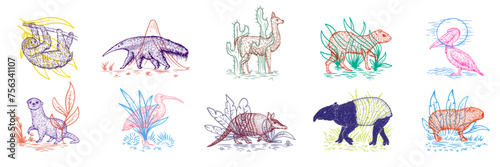 Set color birds and animals south america in hand drawn vintage style. Anteater, tapir, capybara, otter, pelican, armadillo, ibis, sloth, guanaco, agouti. Sketch vector illustration. photo