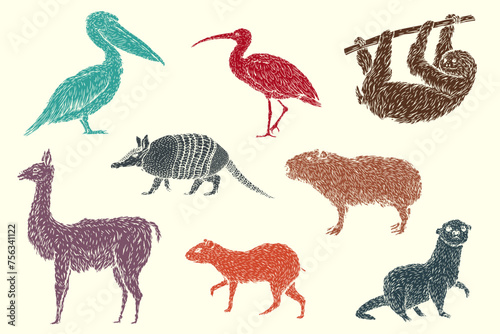 Set color birds and animals south america in hand drawn vintage style. Anteater  tapir  capybara  otter  pelican  armadillo  ibis  sloth  guanaco  agouti. Sketch vector illustration.