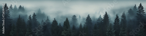 long narrow panoramic view background foggy landscape of autumn forest, taiga, tall trees in the northern fog of autumn