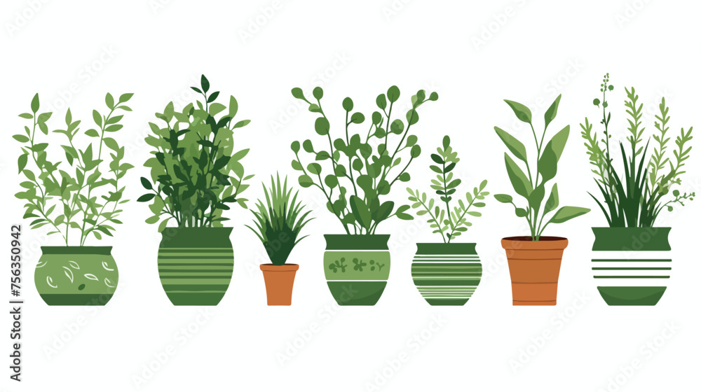 A collection of aromatic herbs in small pots 