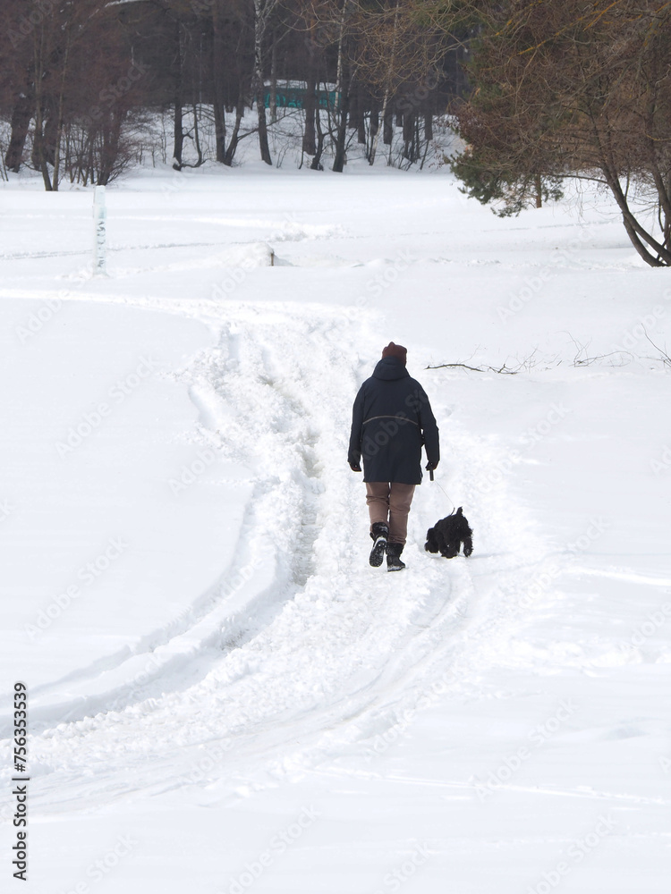 Woman walking a dog in the snow in the park in winter.