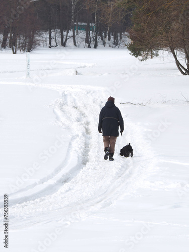 Obraz na płótnie Woman walking a dog in the snow in the park in winter. w salonie