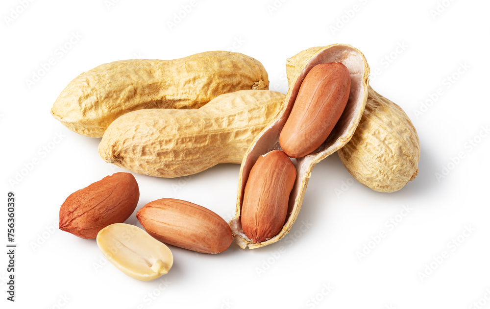 peanuts on a white background peanuts on a white background