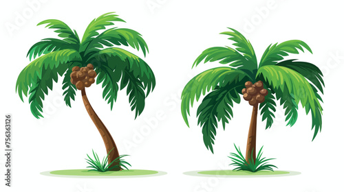 Two tropical green palm trees with leaves. Exotic