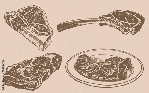 Vector set of steaks on sepia background , grilled meat illustration, food element	