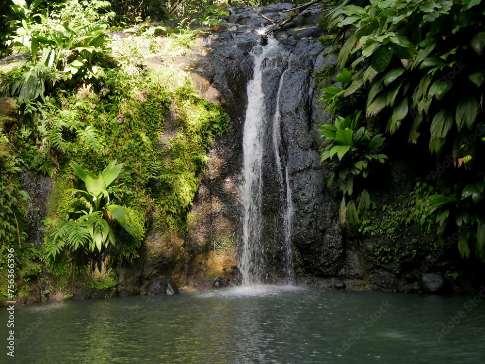 cascade de bis, tropical waterfall in the caribbean jungle, guadeloupe, sainte rose cascade de bis, tropical waterfall in the caribbean jungle, guadeloupe, sainte rose