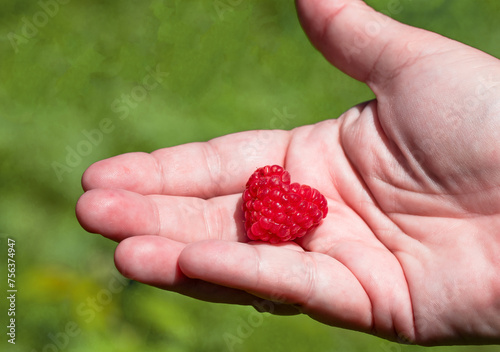 Raspberry in hand shaped like a heart.