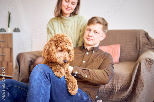 cockapoo in the hands of parents