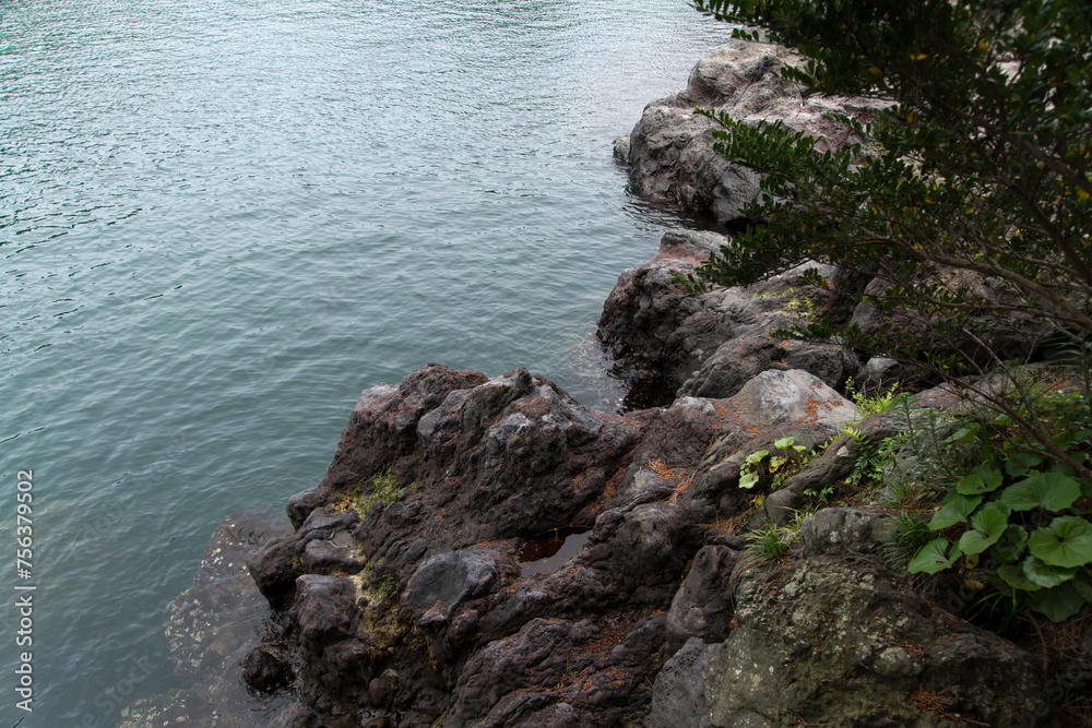 Fototapeta premium High-angle view of the lake in the forest