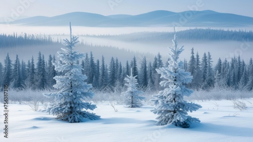Three snow-covered pine trees in a snowy forest with a mountain range in the distance