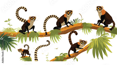 A group of agile lemurs leaping from tree to tree 