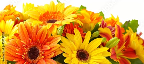 Colorful assortment of vibrant flowers on white background with ample space for text placement