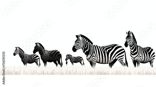 Fototapeta Naklejka Na Ścianę i Meble -  A group of zebras grazing peacefully on the grassy
