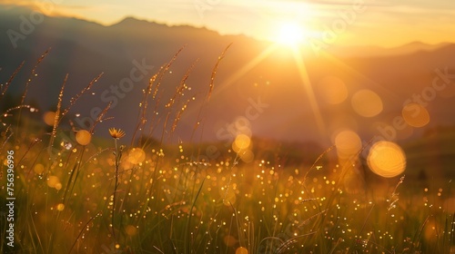 A stunning sunrise illuminates a mountain meadow  with the sun s rays and golden bokeh breathing life into the landscape  offering a moment of serene beauty and a refreshing start to the day.