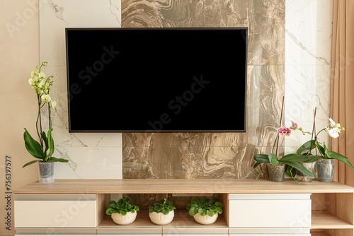 Modern living-room with TV and flower pots. Front view
