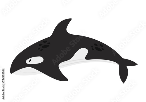 Ocean whale killer. Arctic and antarctic animals, snow sea orca fauna cartoon vector illustration