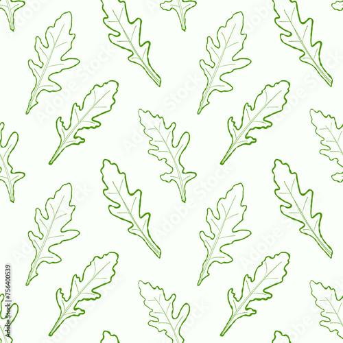 Seamless pattern line arugula. Vector painted. Illustration superfood on white background. Sketch leaves in cartoon flat style green outline. Green color.