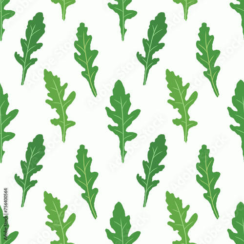 Seamless pattern arugula. Vector painted. Illustration superfood on white background. Sketch leaves in cartoon flat style green outline. Green color.