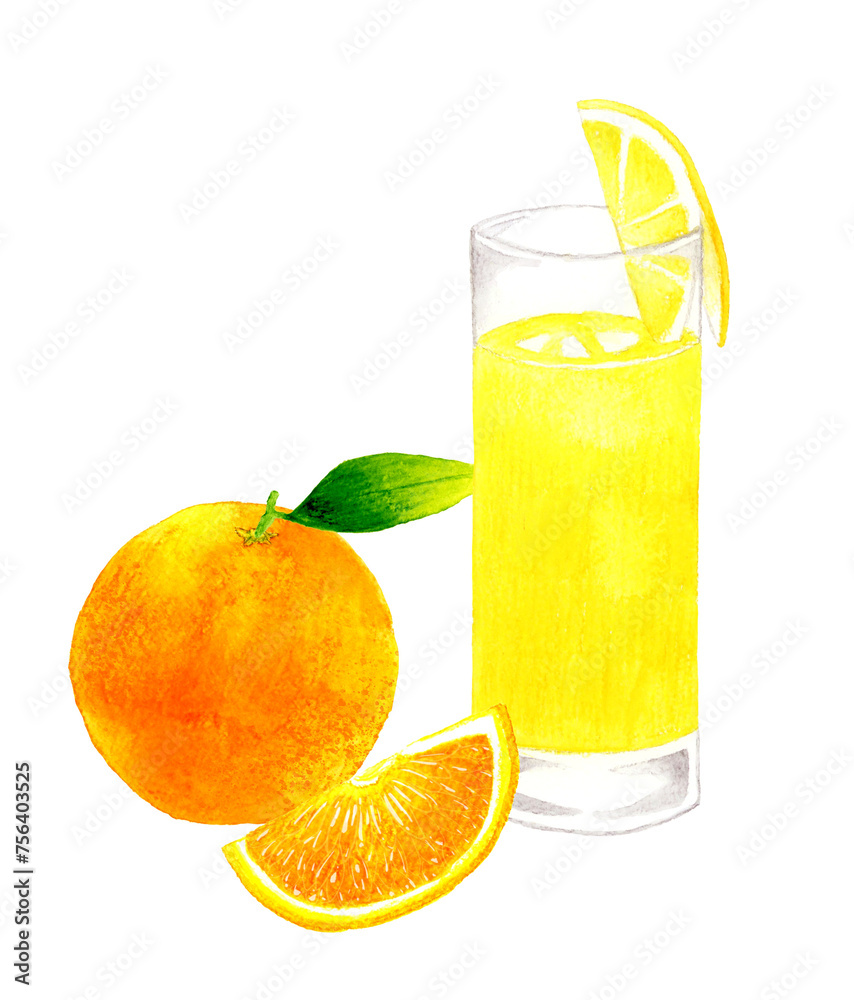 ファジーネーブル、オレンジジュース　飲み物（お酒）の手描き水彩イラスト素材