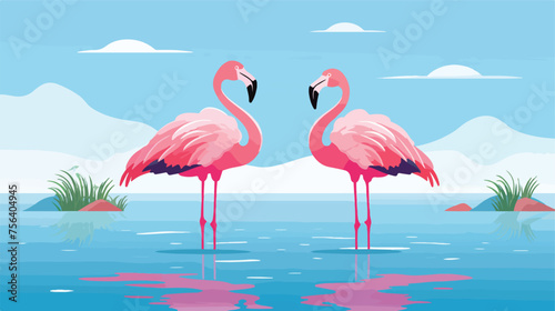 A pair of graceful flamingos wading in shallow water