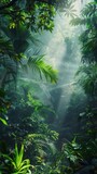 A lush green forest with a thick fog covering the trees