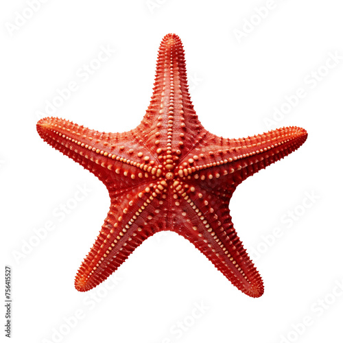 A red starfish isolated on transparent background