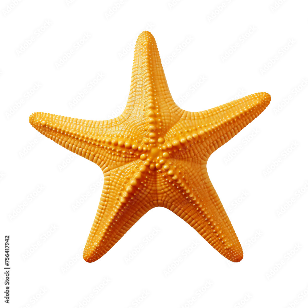 A yellow starfish isolated on transparent background A yellow starfish isolated on transparent background