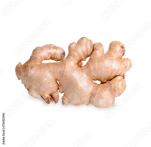Fresh ginger rhizome isolated on white background