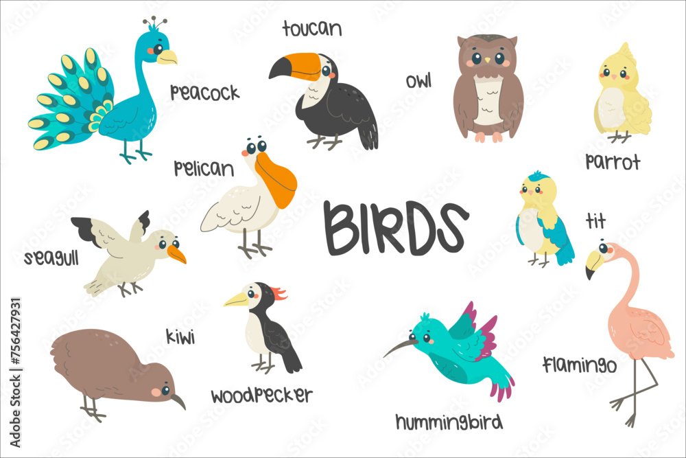 set of different birds, a childish illustration, with names. spring, exotic birds. set of different birds, a childish illustration, with names. spring, exotic birds.