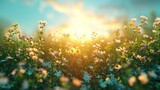 Beautiful autumn sunrise background with abstract green bokeh light and blue sky on earth day concept