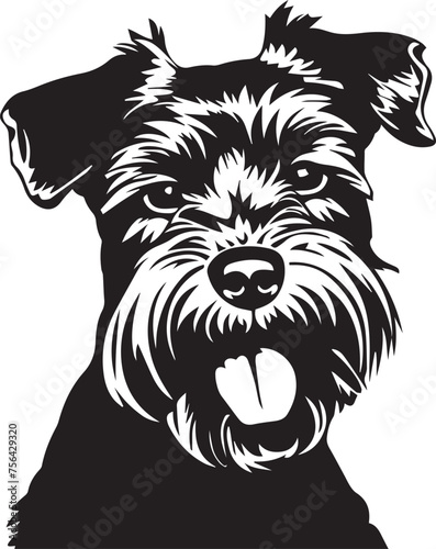 black and white Miniature Schnauzer dog portrait