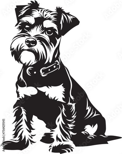 portrait of a Miniature Schnauzer dog