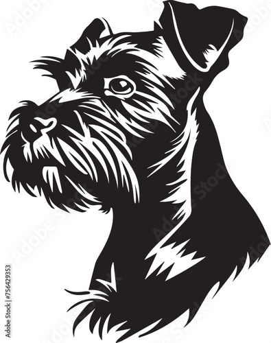 portrait of a Miniature Schnauzer dog