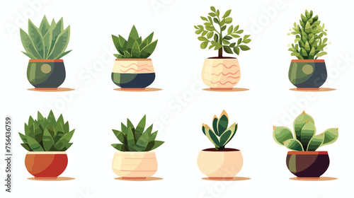 A set of ceramic plant pots with lush green succule