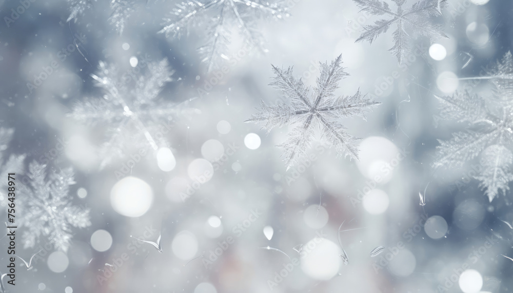 Snowflake Viewed Through Window Snowflake Viewed Through Window