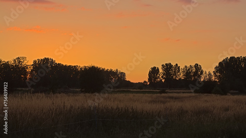Sunsetover a landscape with meadow and trees in the flemish countryside