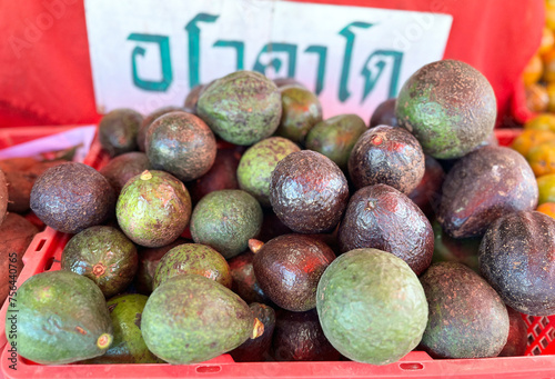 Avocado, Chiang mai Thailand