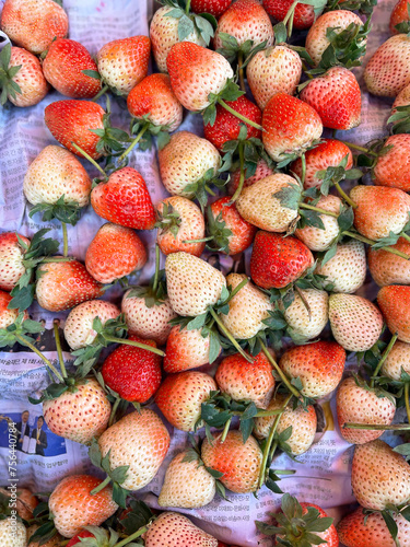 Strawberry, Chiangmai Thailand