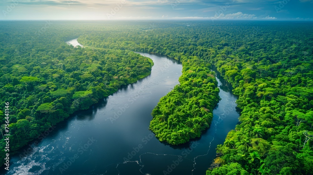 Aerial View of a Serene River Winding Through a Dense Tropical Rainforest Canopy at Sunrise Aerial View of a Serene River Winding Through a Dense Tropical Rainforest Canopy at Sunrise