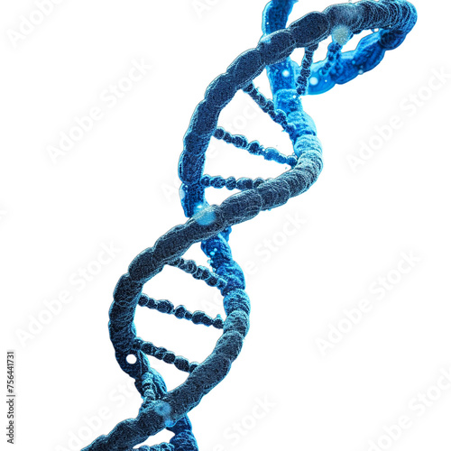 DNA shape