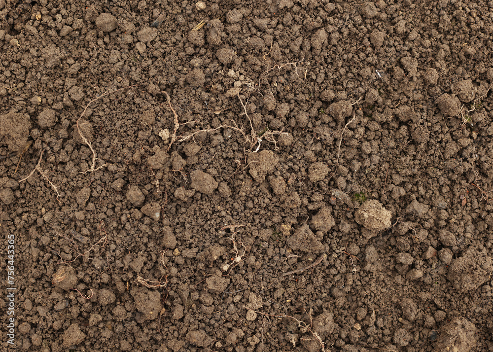 Black soil is ready for seedlings. Brown soil in the homestead. Close-up of land in the garden, spring preparation for gardening. Good and clean moist soil in the greenhouse Black soil is ready for seedlings. Brown soil in the homestead. Close-up of land in the garden, spring preparation for gardening. Good and clean moist soil in the greenhouse