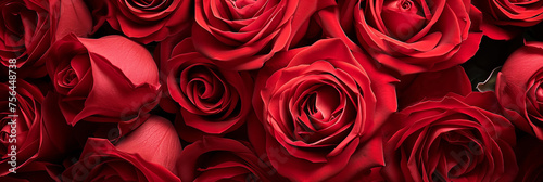 Red roses. Bouquet of red roses. Valentine s day  wedding day background. Rose petals. Close up of amazing roses. Valentine and wedding border. Place for logo. Copy space. Banner. Wall of roses